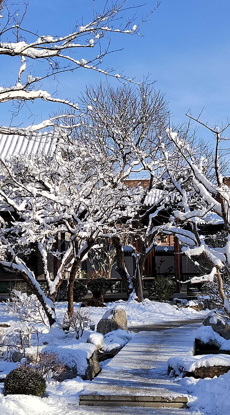 北京艺术馆