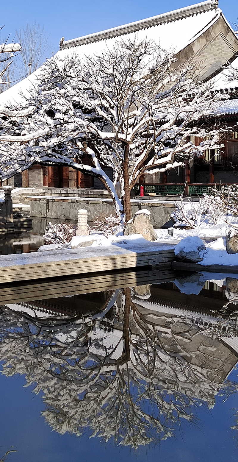 北京艺术馆